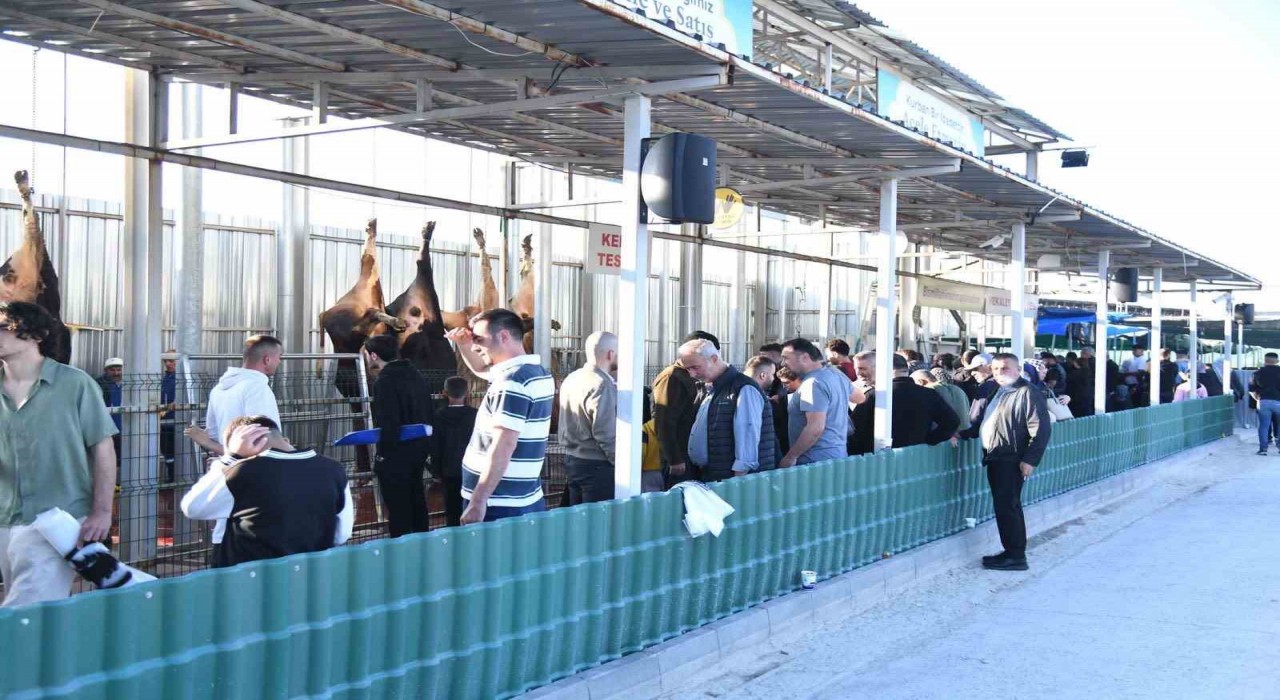 -Pursaklar Belediyesinden çevrim içi kurban kesimi