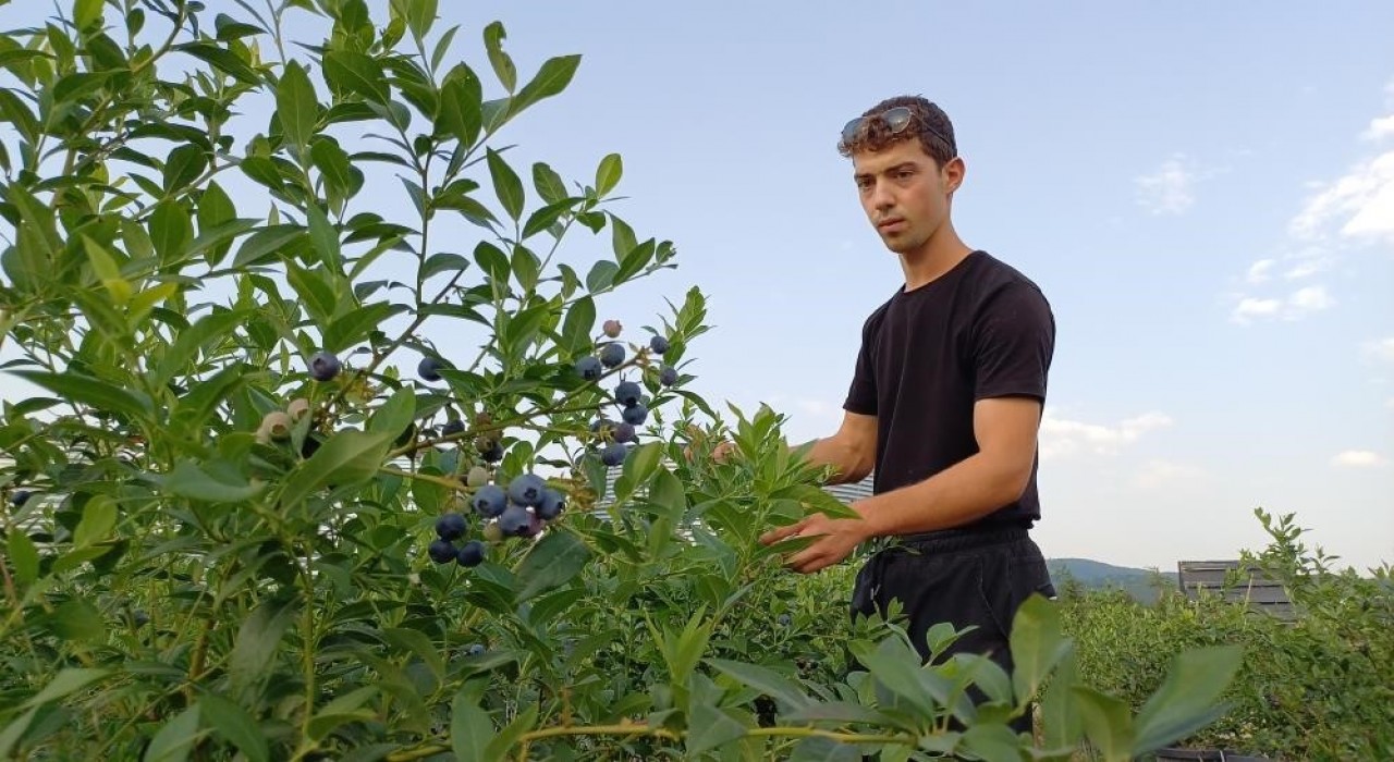22 yaşında kendi bahçesini kurdu, şimdi 15 ton hasat bekliyor