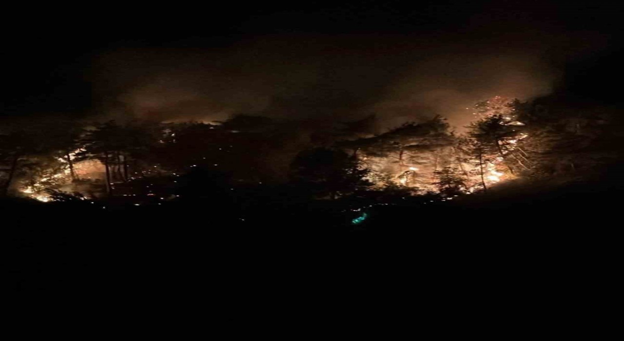 Adana Kozanda orman yangını büyümeden söndürüldü