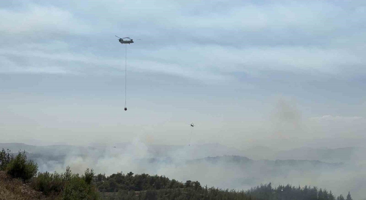 Adanada orman yangını kontrol altında: 6 gözaltı