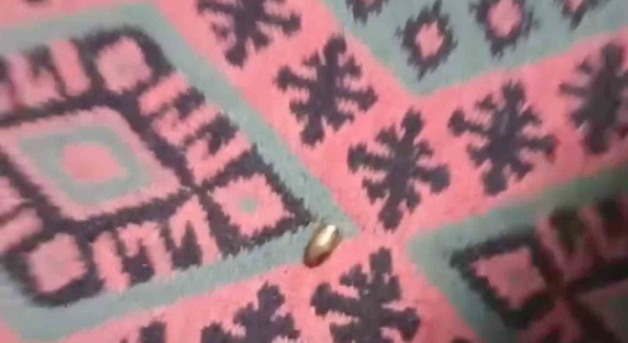 Adanada yorgun mermi, ailenin oturduğu çardağa isabet etti