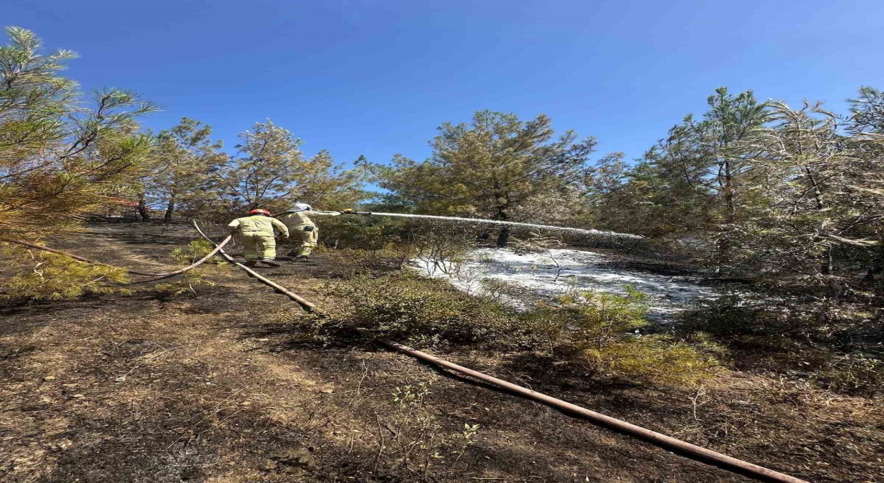 Adanadaki orman yangını kontrol altına alındı