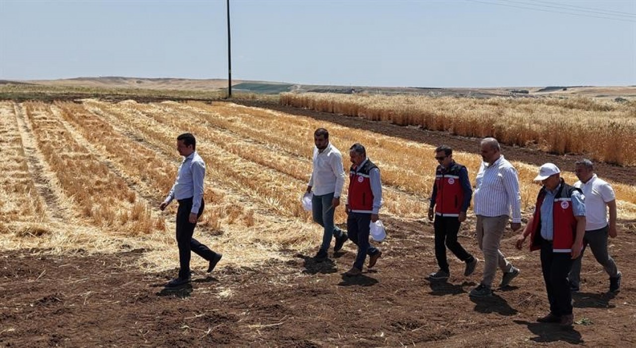 Adıyamanda tohumculuk sektörü güçleniyor