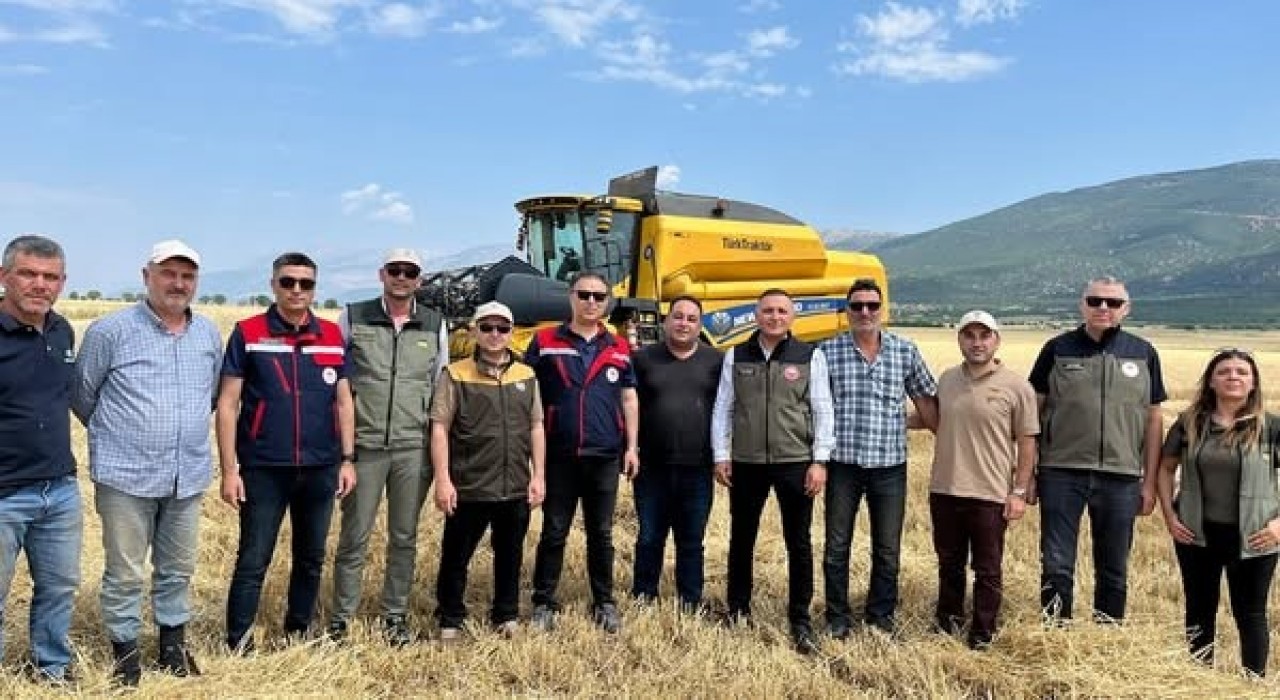 Afyonkarahisarda hububat hasadı başladı