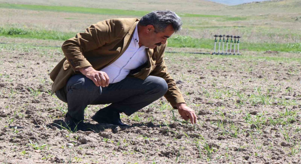 Ağrı Diyadinde üretim seferberliği