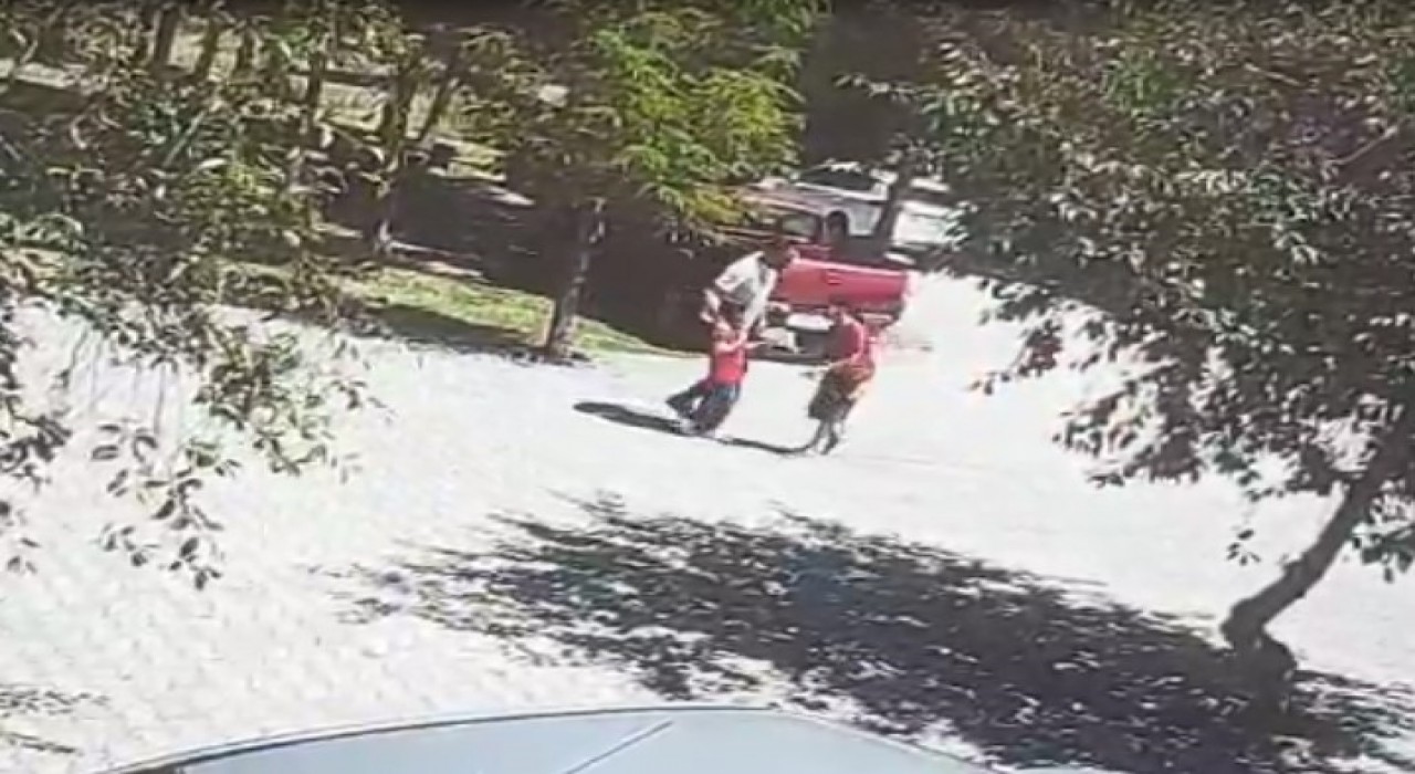 Ahlatta başıboş köpeklerin saldırısına uğrayan çocuk son anda kurtarıldı