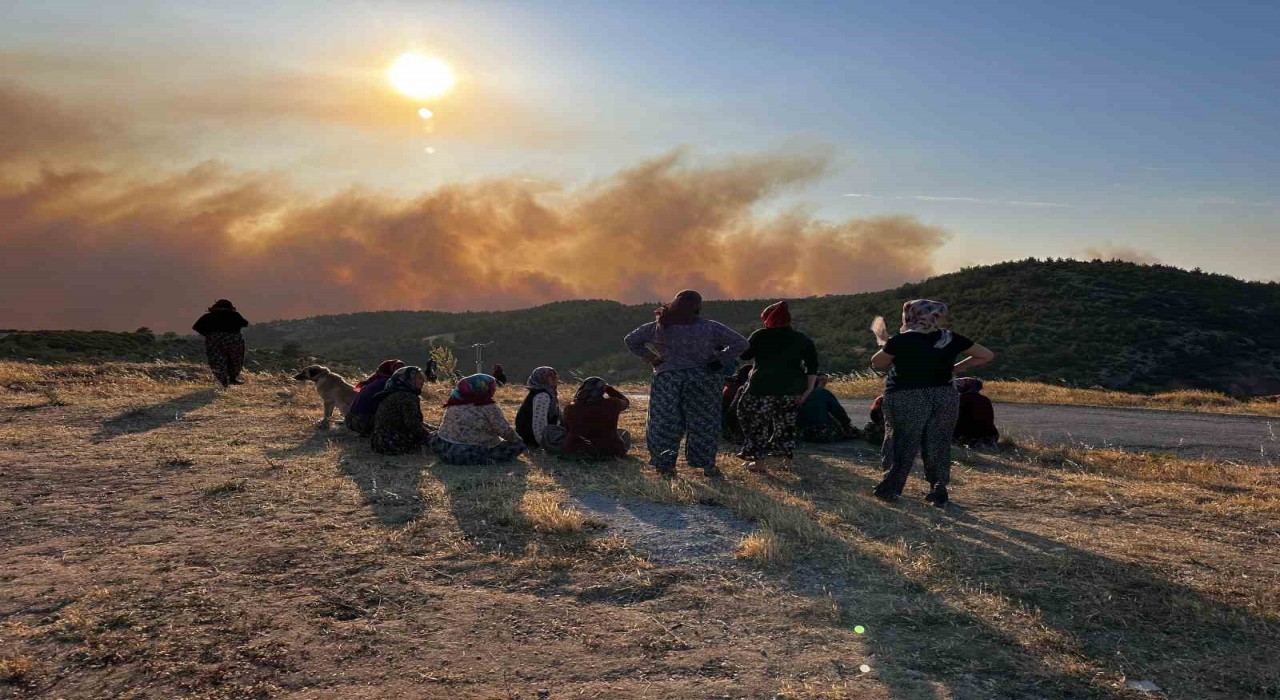 Akhisardaki orman yangınıyla ilgili 1 gözaltı