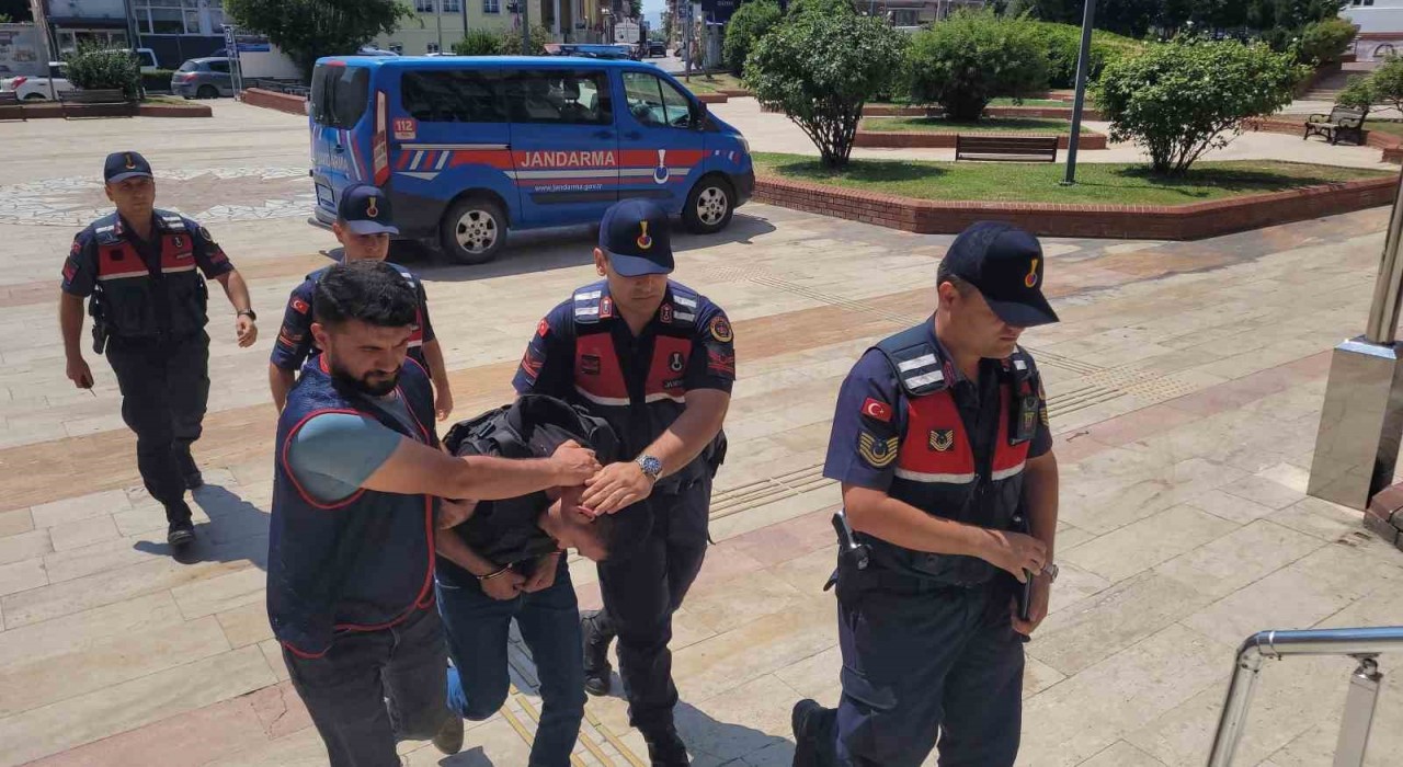 Aydın’da Miras Kavgası: Tornavida ile Cinayet