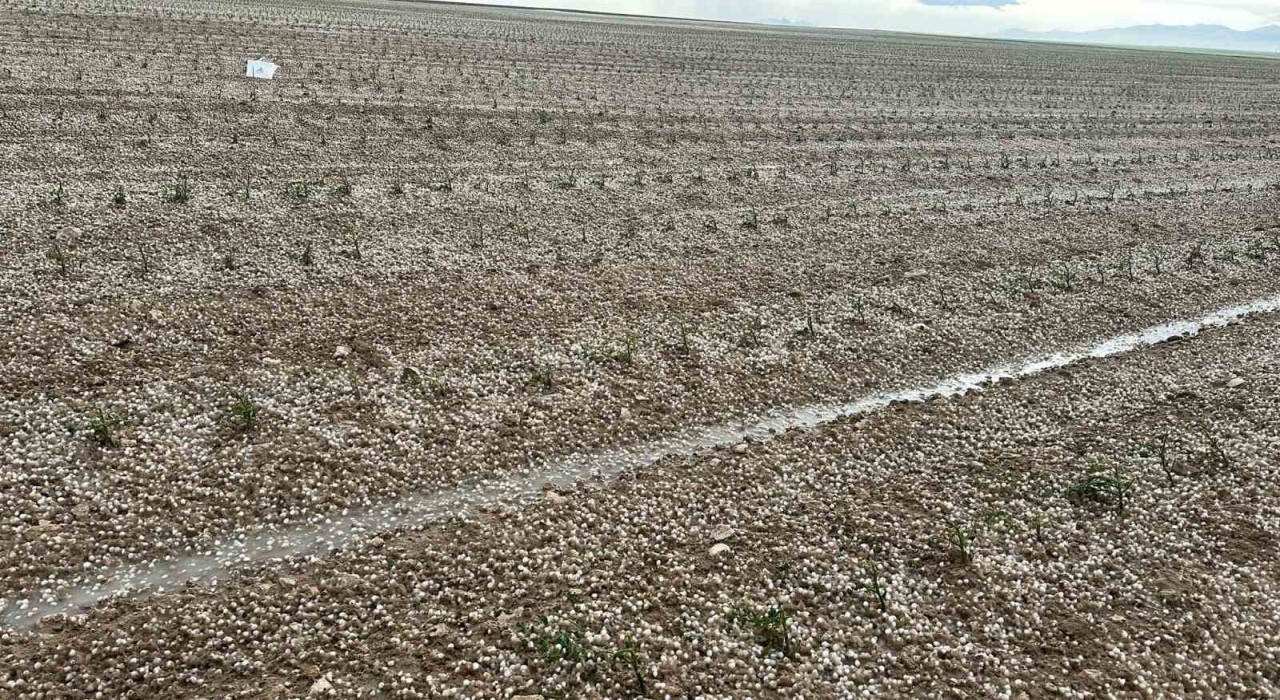 Aksarayda sağanak ve dolu tarım arazilerini vurdu