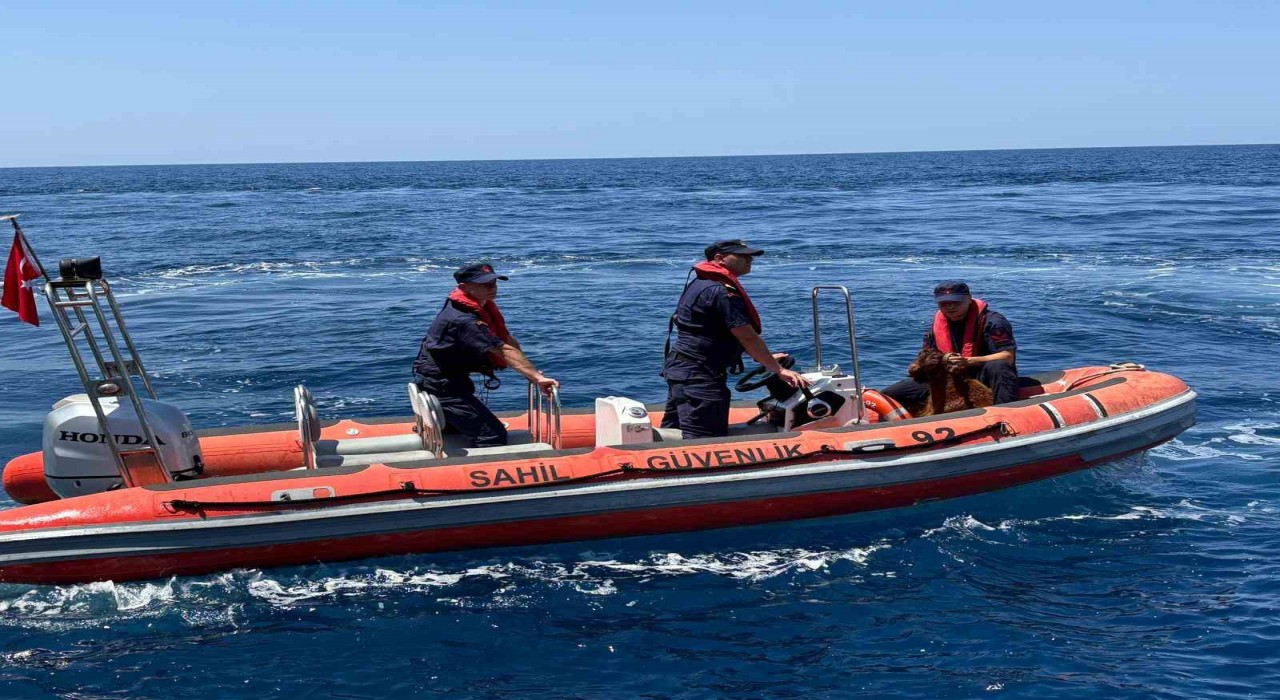 Alanya Kalesinde kayalık bölgede mahsur kalan dağ keçisi kurtarıldı