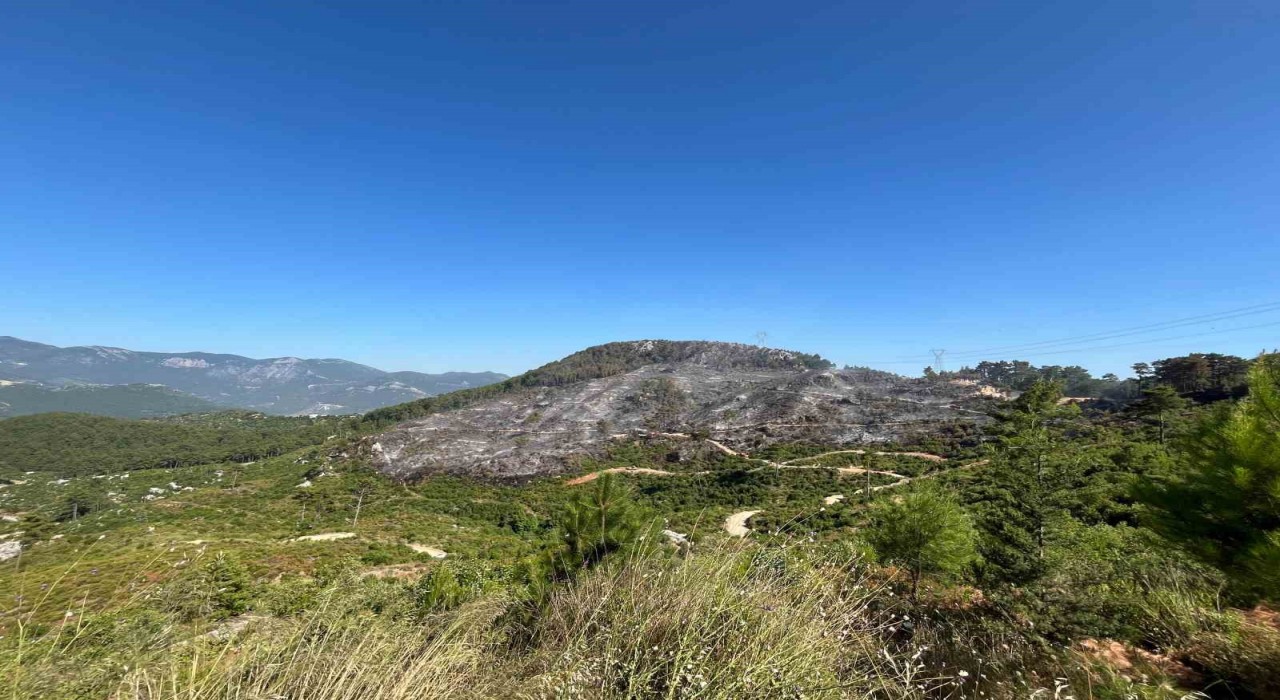Alanya Kızılalanda çıkan yangın yaklaşık 10 saat sonra kontrol altına alındı