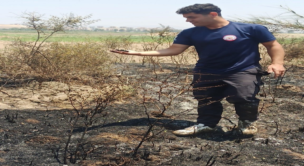 Alevler içinde kalan yavru serçeye, itfaiyeden can suyu