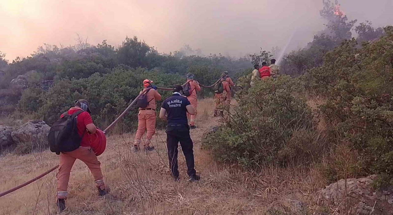 Alevlerin içinde hayatta kalma mücadelesi