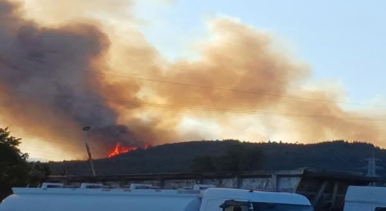 Aliağadaki orman yangıyla ilgili 1 kişi tutuklandı