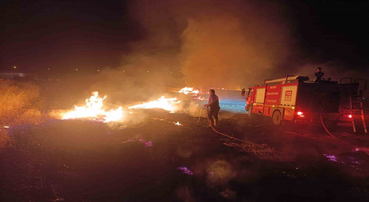 Anız yangınında ağaçlar, direkler ve kablolar zarar gördü