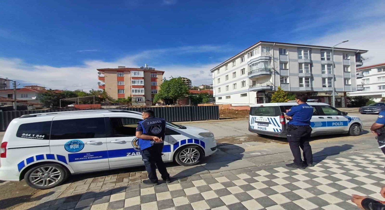 Ankarada kaçan dana yaşlı kadını yaraladı