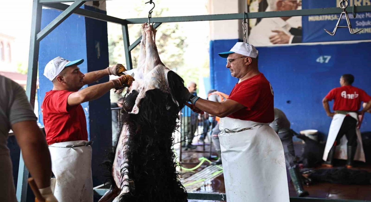 Antalya Büyükşehir Belediyesinden hijyenik ortamda ücretsiz kurban kesim hizmeti