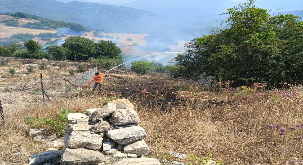 Antalyada ormanlık alanı tehdit eden yangına müdahale ediliyor