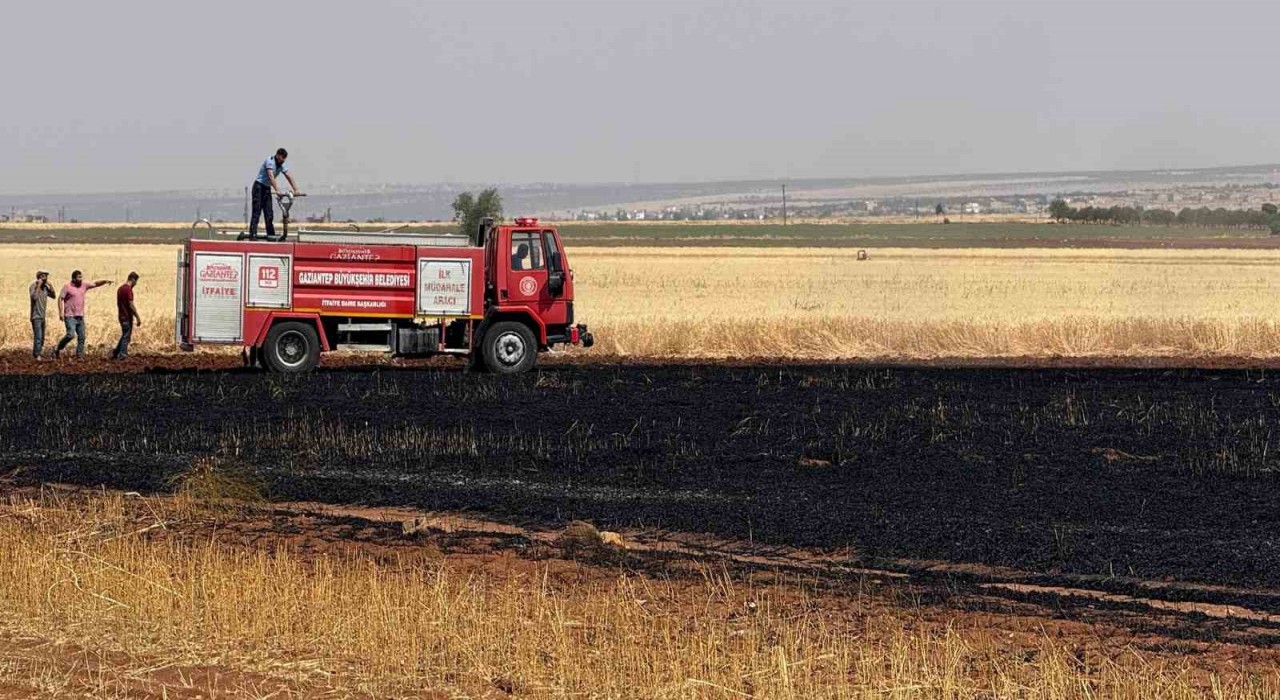 Araban Ovasında 15 dönüm buğday ekili alan daha yandı
