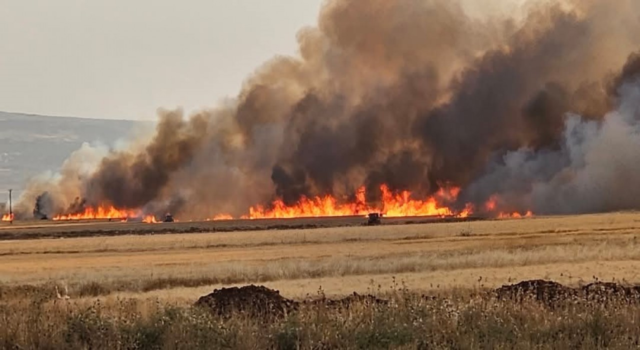 Araban Ovasında 8 ayrı noktada 2 bin dönüm ekili alan yandı