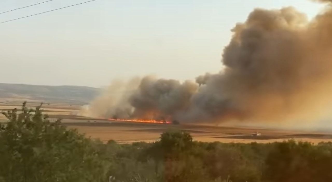 Araban Ovasında buğday tarlalarında yangın: 500 dönüm ekili alan kül oldu