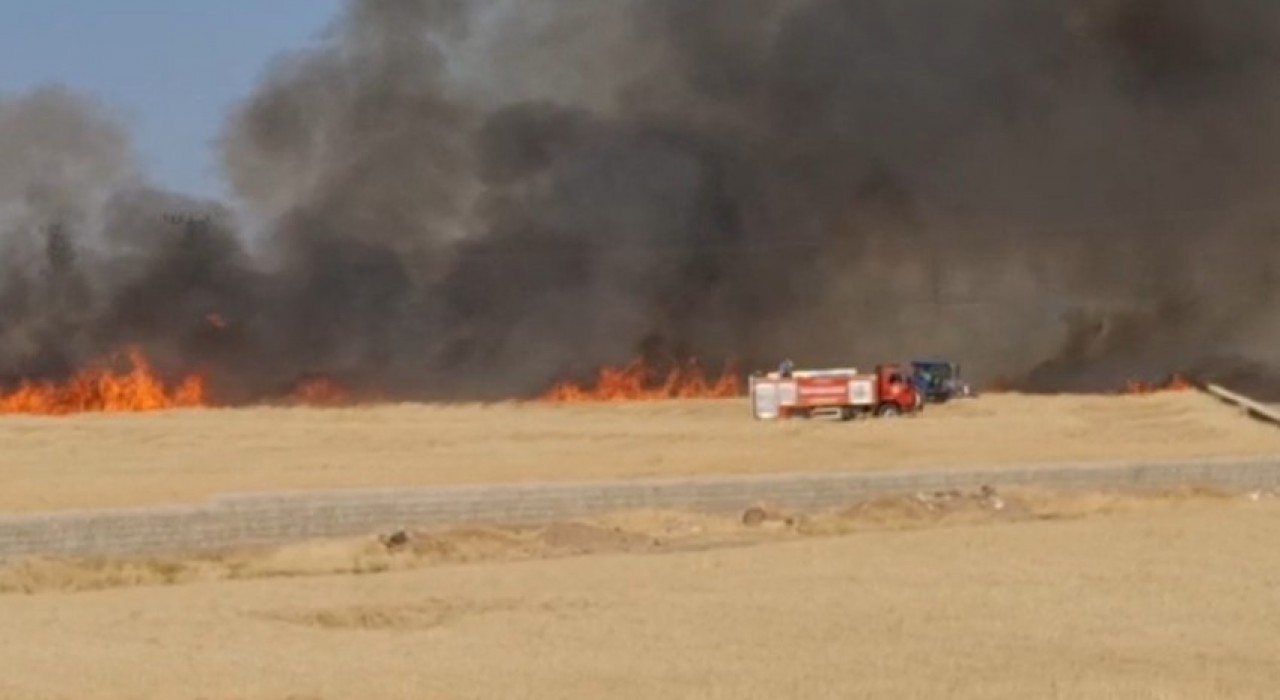 Araban Ovasında hasada hazır 50 dönüm buğday yandı