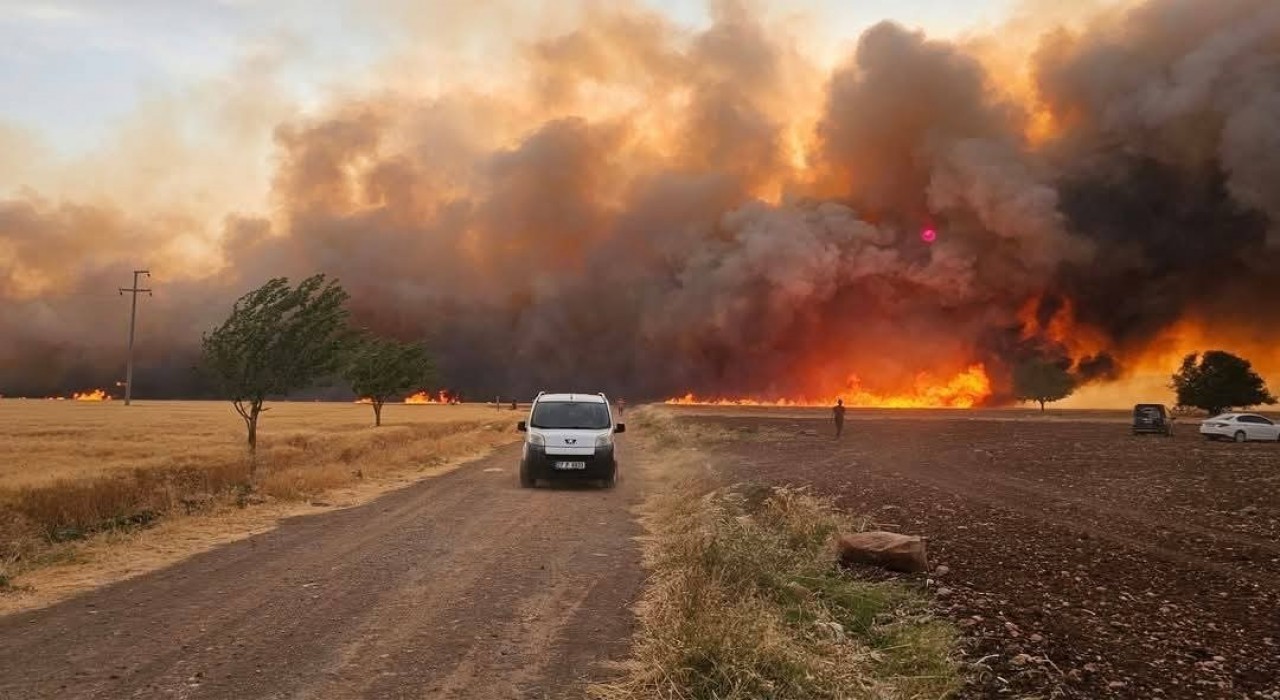 Araban Ovasındaki yangınların hasar tespit çalışmaları tamamlandı