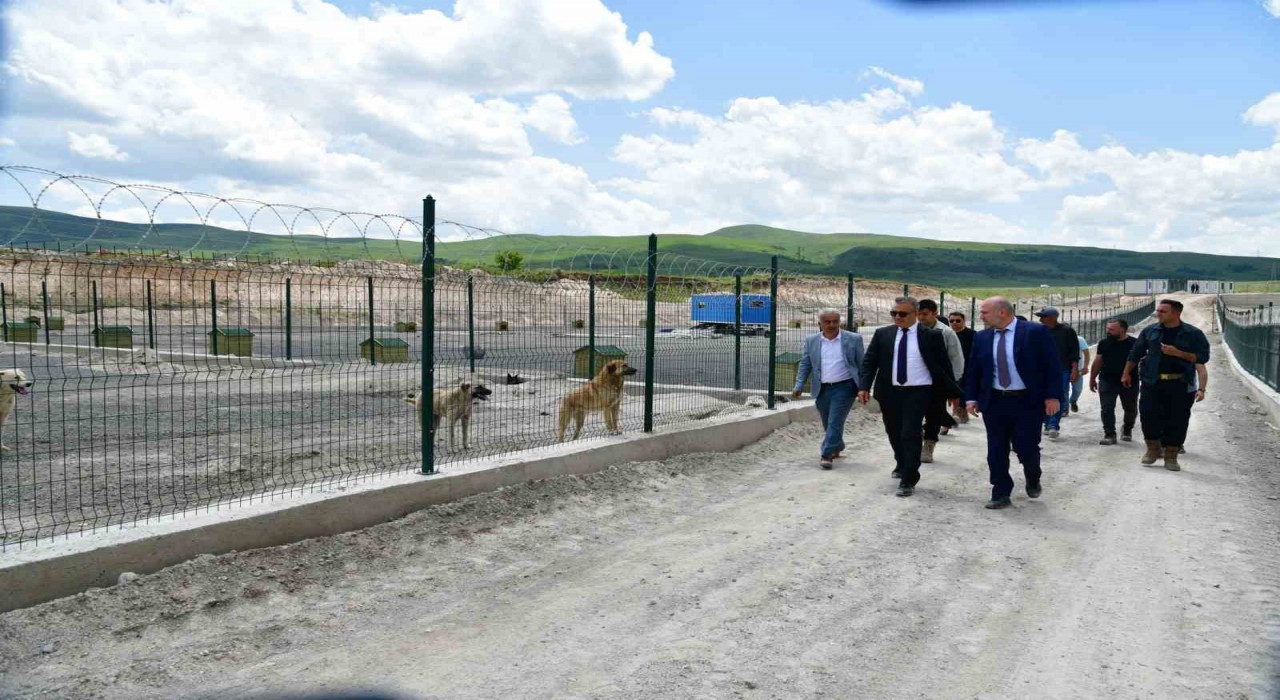 Ardahanda sahipsiz hayvanlara yeni bir yuva