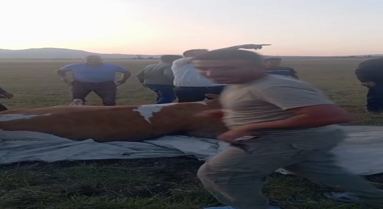 Arin Gölünde çamura saplanan inek kurtarıldı