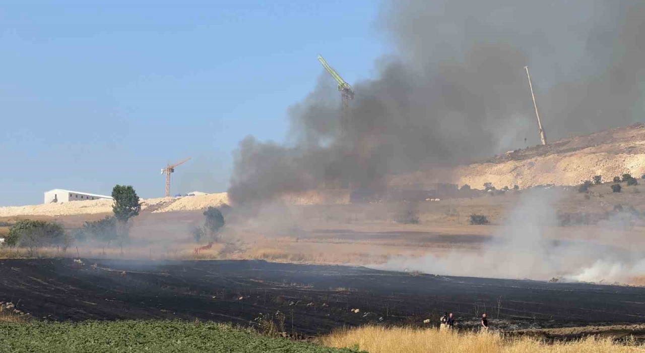 Arnavutköy Sazlıbosnada tarım arazisinde yangın paniği