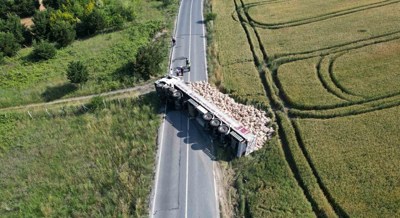 Arnavutköyde patates yüklü tır devrildi, tonlarca patates tarlaya döküldü
