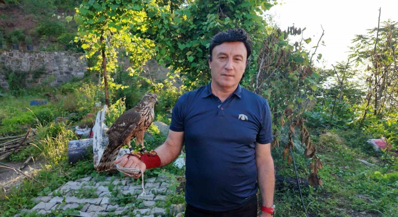 Asırlık atmaca geleneği Artvinde yaşatılıyor