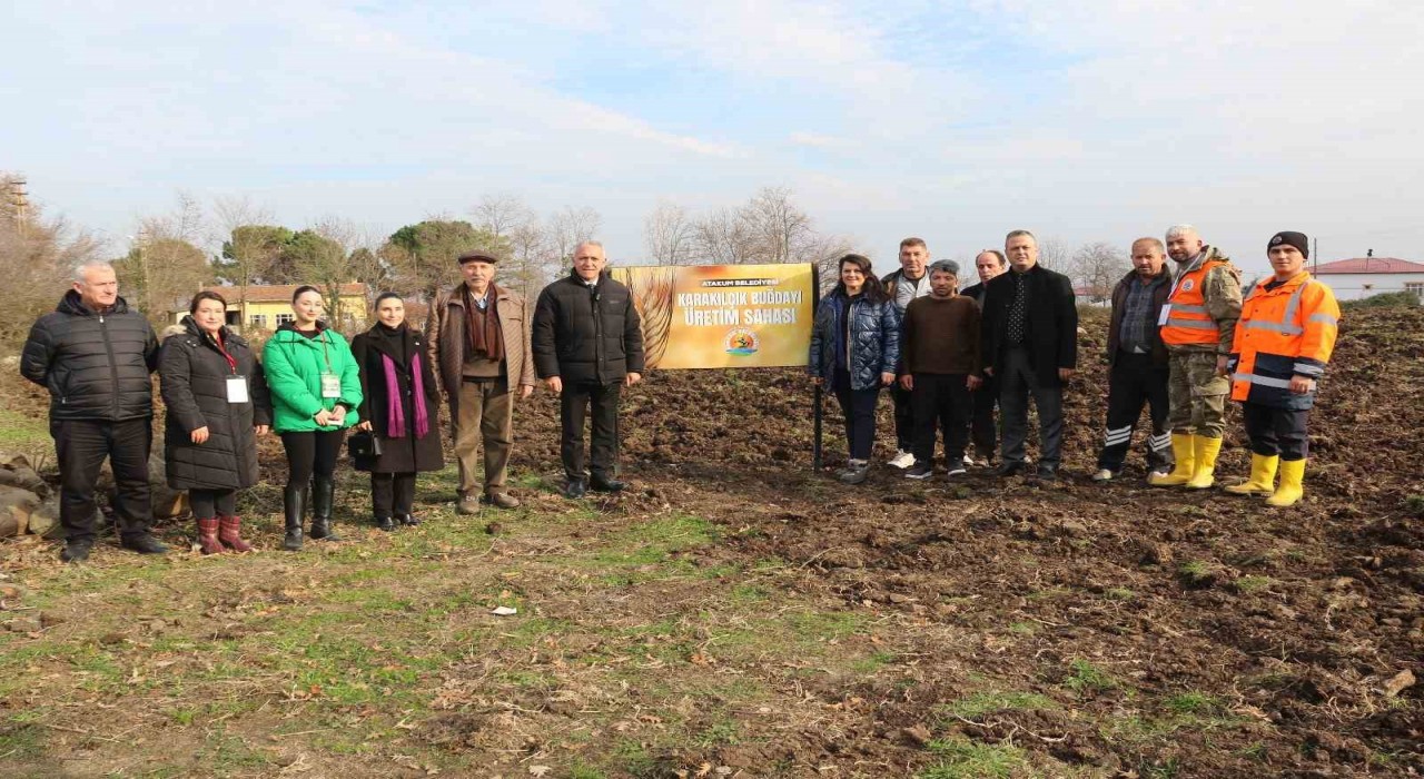Atakumda hayvancılık yapan ailelere yem bitkisi desteği