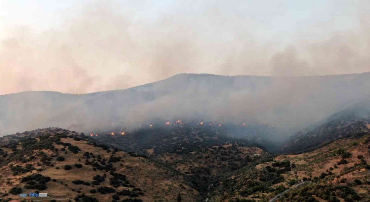 Aydın Efelerdeki yangına ekiplerin müdahalesi sürüyor