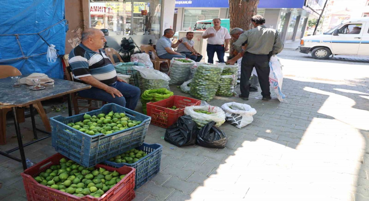 Aydın incirinde ilekleme sezonu başladı