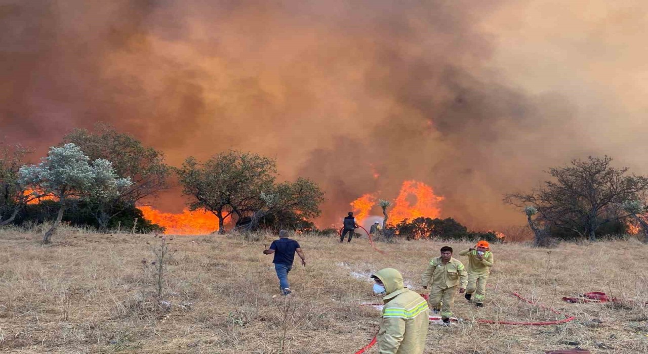 Aydında hafta sonu 11 yangın çıktı