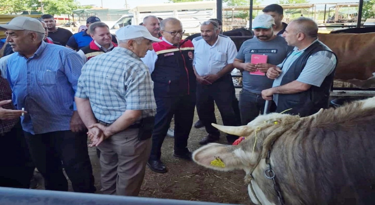 Aydında kurban satış yerleri denetleniyor