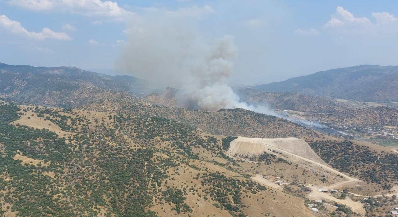 Aydında zirai alandaki yangın büyüyor