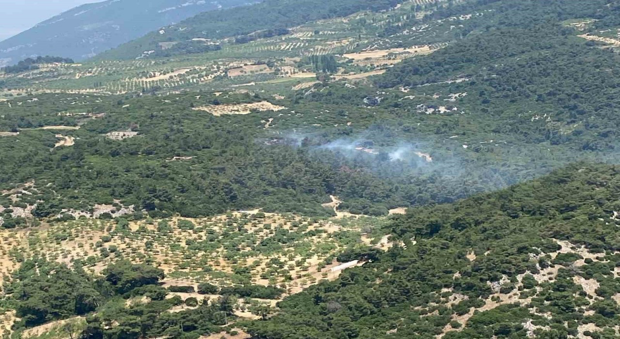 Aydındaki orman yangını kontrol altına alındı