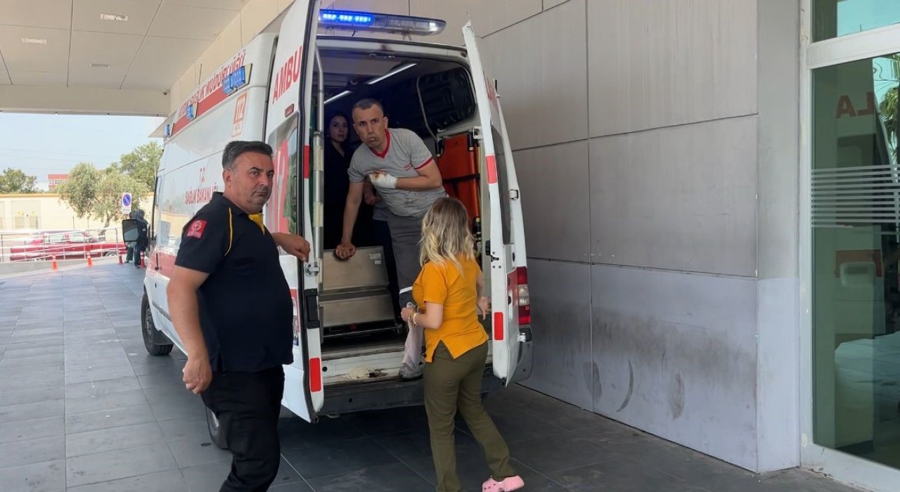 Aydının acemi kasap bilançosu belli oldu