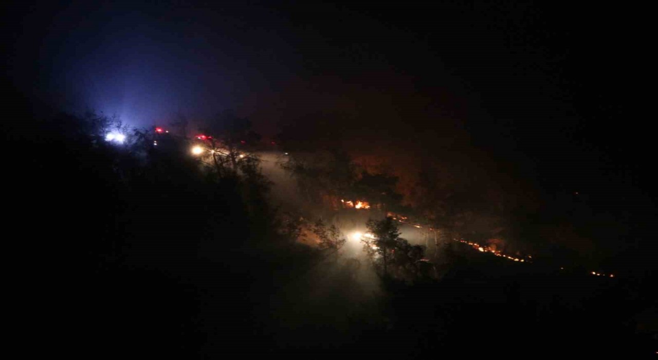 Ayvacıkta tarım arazisindeki yangın kontrol altına alındı, 10 hektar alan zarar gördü