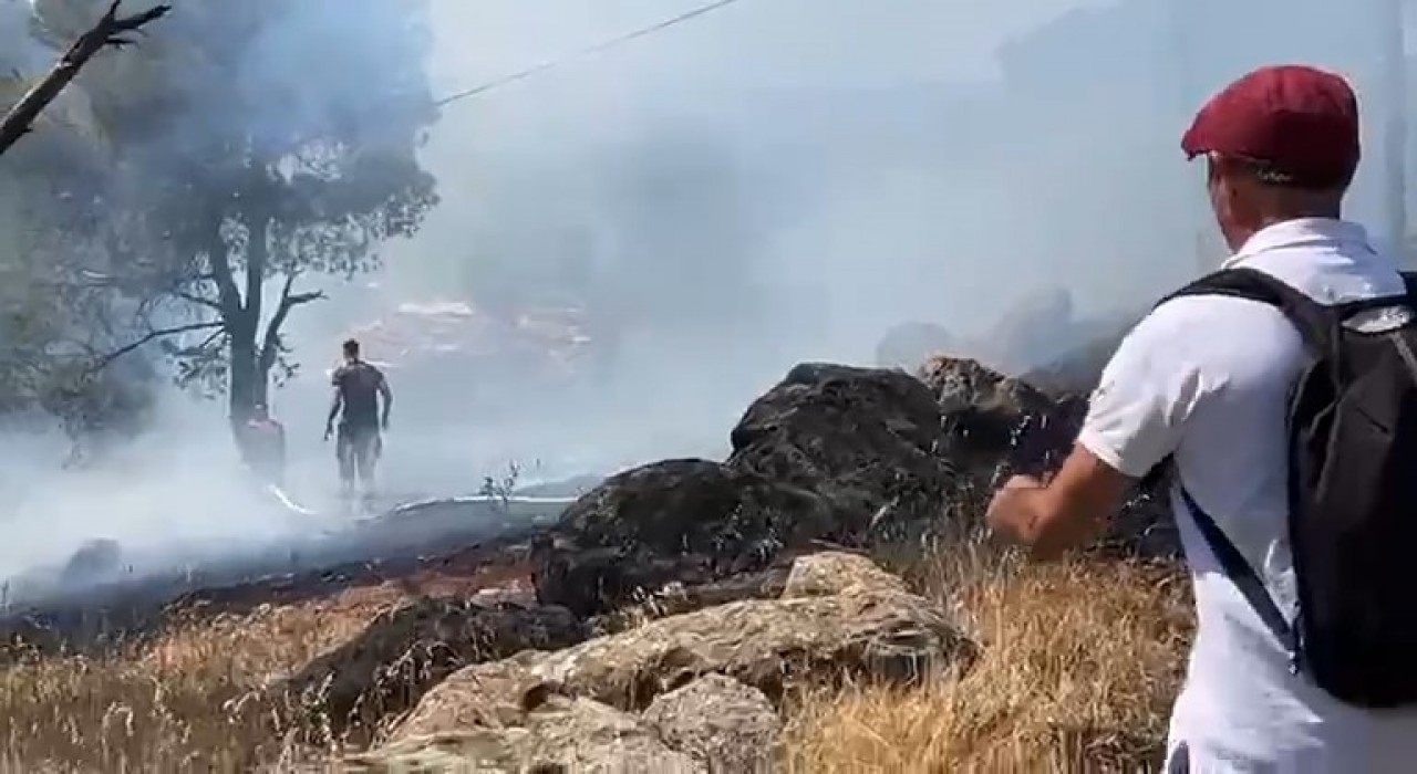 Ayvalıkta orman yangını