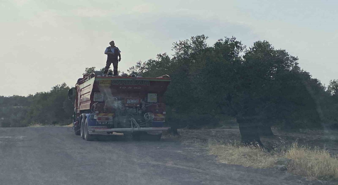 Ayvalıkta zeytinlik alanda çıkan yangın kontrol altına alındı