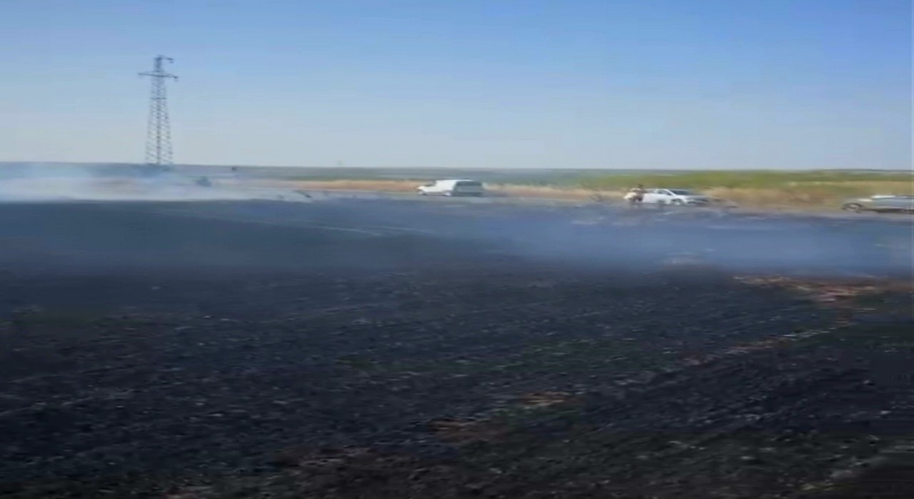 Babaeskide yaklaşık 30 dönüm ekili buğday yandı