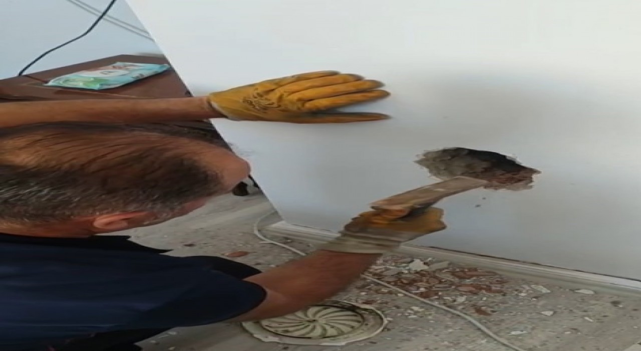 Bacada mahsur kalan kediyi itfaiye ekipleri kurtardı