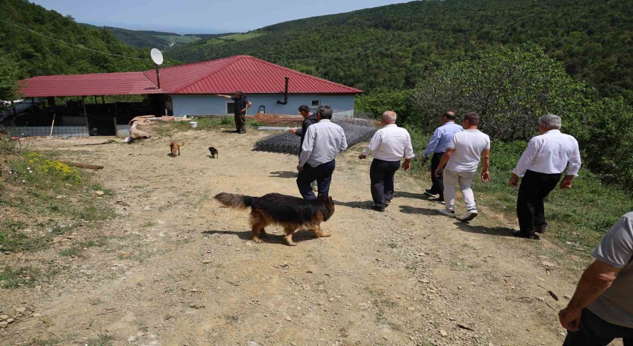 Bafrada muhtarların tepkisini çeken izinsiz köpek barınağı mühürlenerek kapatıldı
