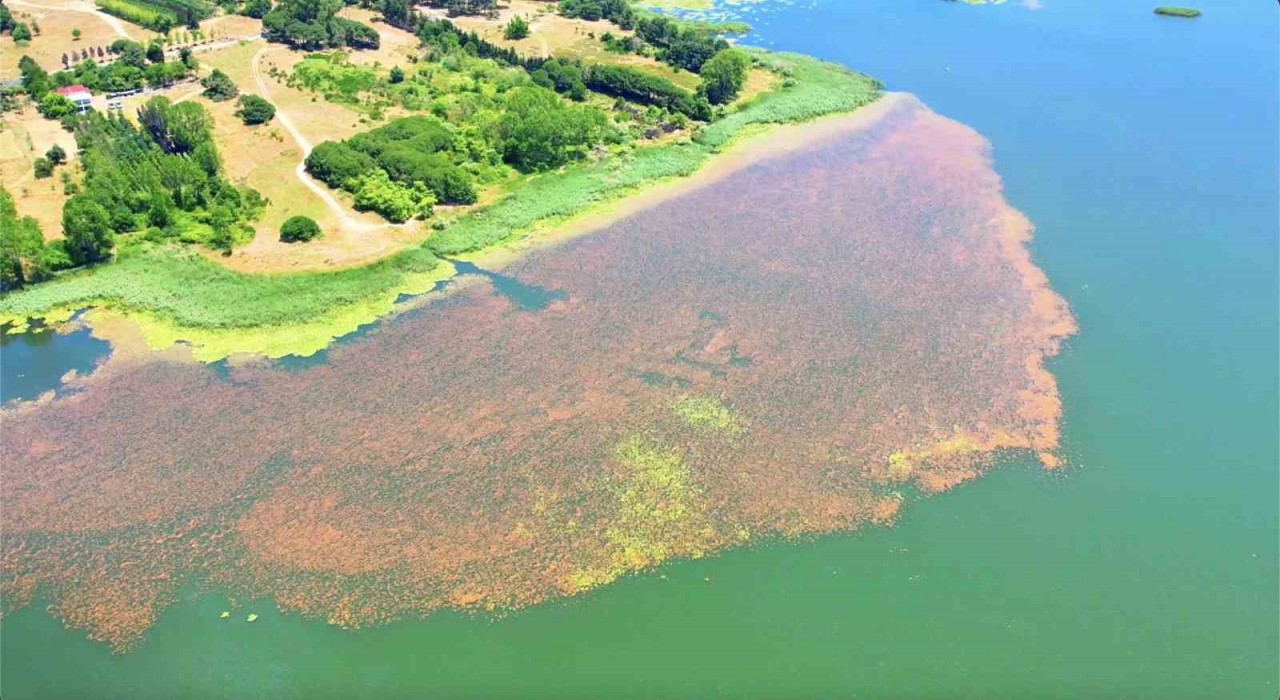Baharın renklerine bürünen Terkos Gölü mest etti