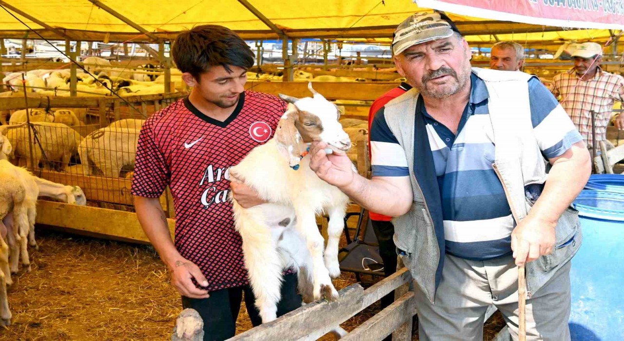 Bahçelievler kurban pazarı hem alıcıların hem de satıcıların yüzünü güldürdü