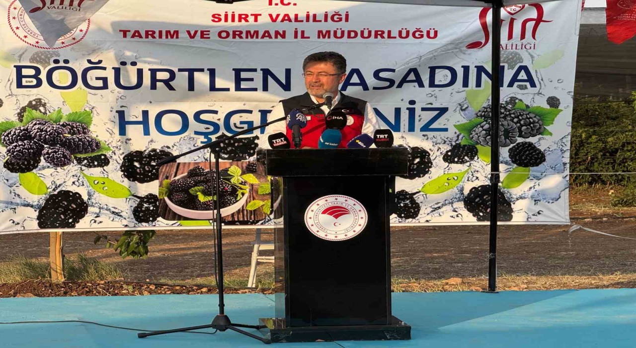 Bakan Yumaklı, Siirtte böğürtlen hasadına katıldı