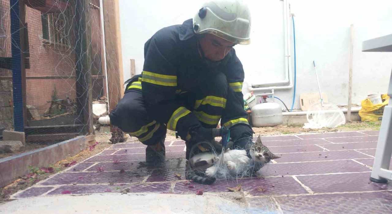 Balık ağına takılan kediyi itfaiye kurtardı
